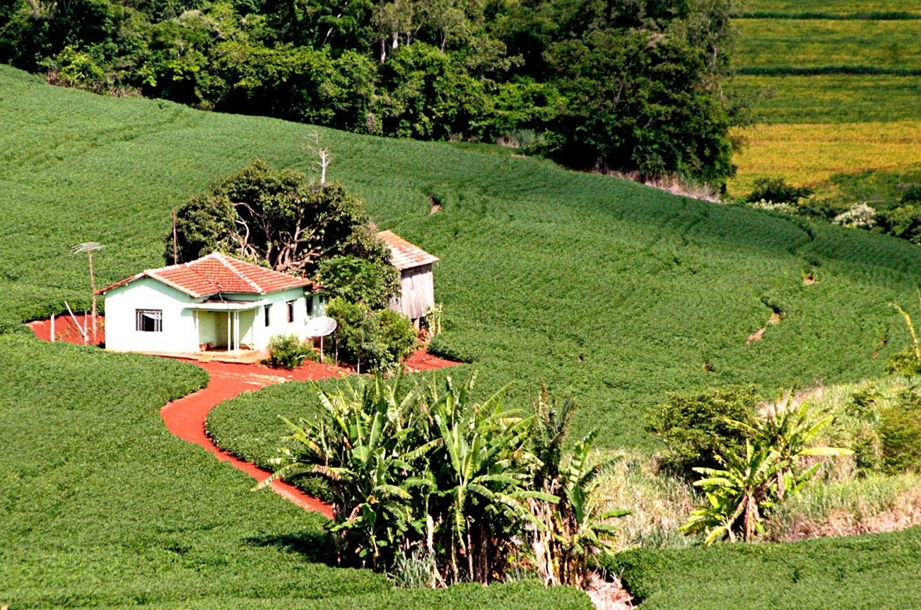 Usucapião de imóvel rural: a proteção do pequeno agricultor sob a ótica do  STJ - Anoreg-PR