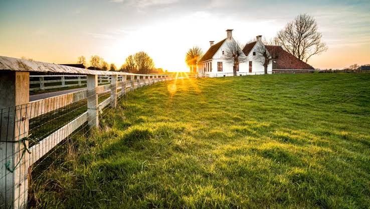 Artigo - Compra e arrendamento de imóvel rural por estrangeiro: o que se espera do julgamento do STF?