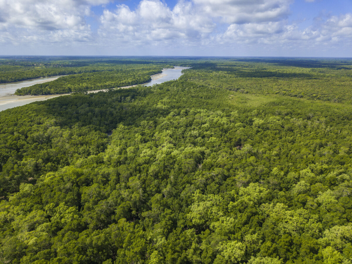 CNJ, Ministério da Justiça e UFPA se unem em busca da mediação de conflitos fundiários na Amazônia Legal