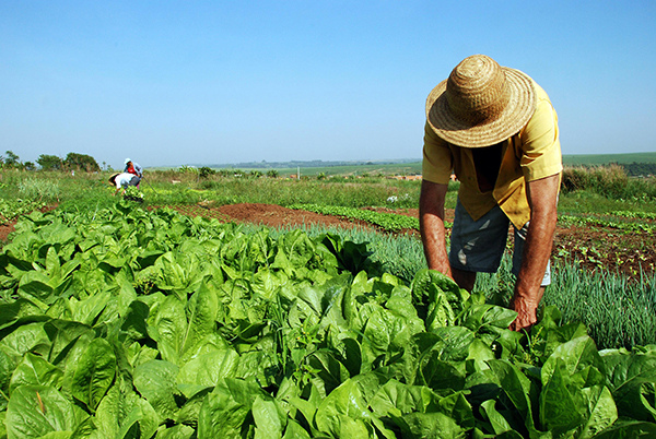 Competência para regularização fundiária de terras de reforma agrária poderá passar para Estados